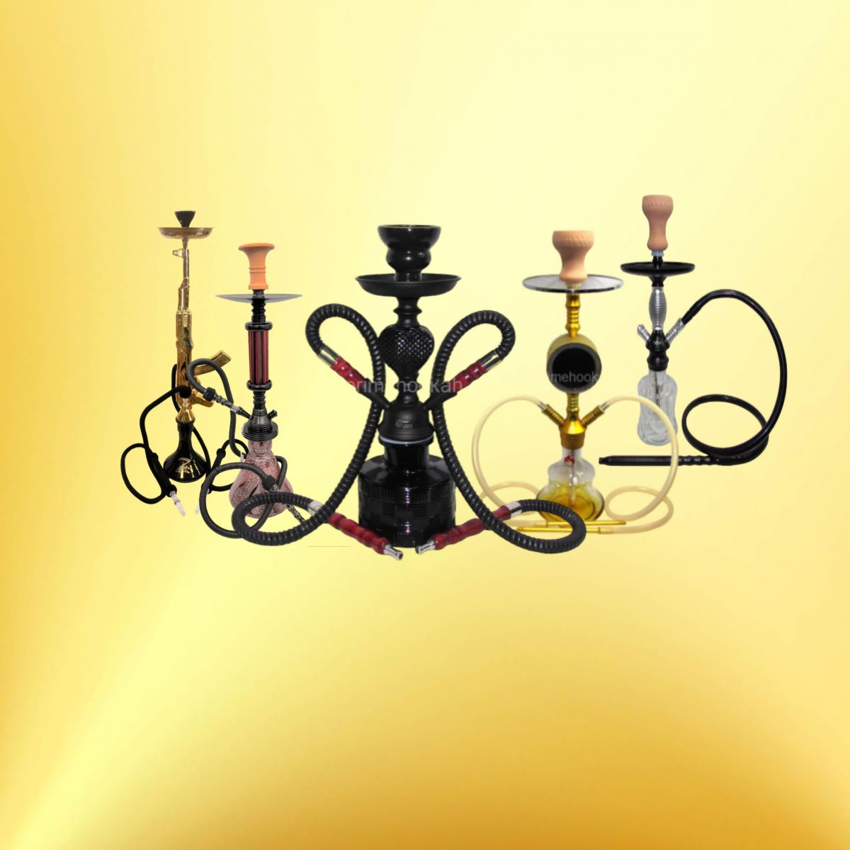 Hookah Collections